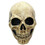 Morris Costumes TB26157 Adult's Bone Skull Mask