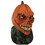 Morris Costumes TB26294 Adult's Possessed Pumpkin Mask