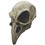 Morris Costumes TB26345 Adult's Crow Skull Mask