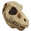 Ghoulish TB26803 Adult's Tyrannosaurus Rex Dinosaur Skull Mask