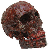 Morris Costumes TB27039 Bloody Scabs Skull Prop