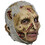 Morris Costumes TB27533 Chinless Zombie Mask