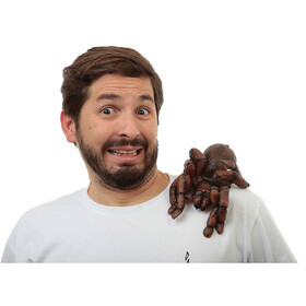Ghoulish TB27837 Tarantula Latex Shoulder Buddy