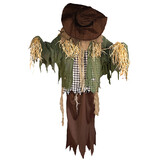 Morris Costumes TT58312 53