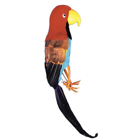 Morris Costumes VA142 Pirate Parrot