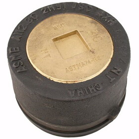 Jones Stephens C36134 4" Schedule 40 Push-On Cleanout with Gasket with Countersunk Plug - 3" Height
