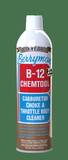 Berryman Products 0117C B-12 Chemtool Carburetor Cleaner - CA