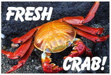 NEOPlex BN0092 Fresh Crab Live 24