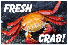 NEOPlex BN0092 Fresh Crab Live 24"X 36" Vinyl Banner