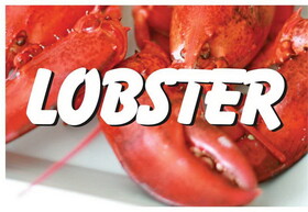 NEOPlex BN0106 Lobster 24"x 36" Vinyl Banner