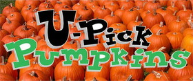 NEOPlex BN0111-3 Halloween U Pick Pumpkins 30"X 72" Vinyl Banner