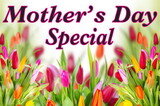 NEOPlex BN0176 Holiday Mother's Day Specials Pink 24