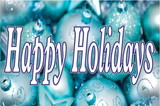 NEOPlex BN0195 Bright Happy Holidays 24