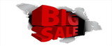 NEOPlex BN0222-3 Green Dollar Signs Sale 30