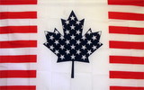 NEOPlex F-1332 Usa Canada Friendship 3'X 5' Flag