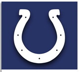 NEOPlex F-1366 Indianapolis Colts 40X28 House Banner Flag
