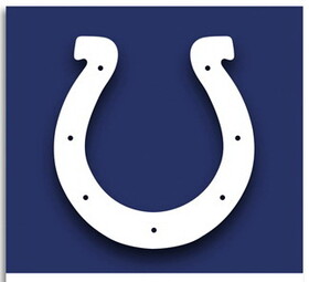 NEOPlex F-1366 Indianapolis Colts 40X28 House Banner Flag