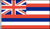NEOPlex F-1638 Hawaii State 2'X 3' Flag