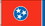 NEOPlex F-1669 Tennessee State 2'x 3' Flag