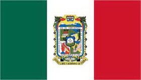 NEOPlex F-1736 Puebla Mexico State 3'x 5' Flag