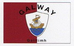 NEOPlex F-1769 Galway Ireland Country 3'X 5' Flag