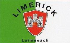 NEOPlex F-1775 Limerick Ireland Country 3'X 5' Flag