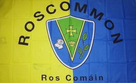 NEOPlex F-1782 Roscommon Ireland Country 3'X 5' Flag