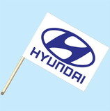 NEOPlex F-2026 Hyundai Logo 30