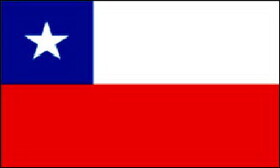 NEOPlex F-2110 Chile 3'x 5' Flag