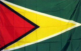 NEOPlex F-2223 Guyana 3'X 5' Flag
