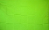 NEOPlex F-2348 Solid Neon Green Poly 3'X 5' Flag
