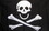 NEOPlex F-2402 Jolly Roger Poison 3'x 5' Pirate Flag