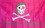 NEOPlex F-2408 Pink Pirate Princess 3'X 5' Flag