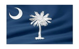 NEOPlex F-2519 South Carolina State 3'X 5' Flag