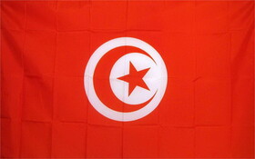 NEOPlex F-2560 Tunisia 3'X 5' Quality Flag World Cup
