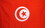 NEOPlex F-2560 Tunisia 3'X 5' Quality Flag World Cup