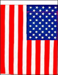 NEOPlex F-2615 American 28"X 40" Vertical Polyester Flag