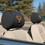 NEOPlex K82034 Texas Longhorns Headrest Covers