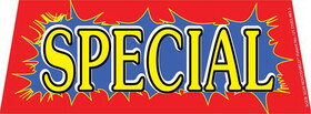 NEOPlex nseb-3029 Special Car Dealer Vinyl Bungee Windshield Banner 20" x 50" r_y_b