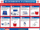 NMC BHWP1 Bloodborne Pathogens In The Workplace Poster, OTHER, 24