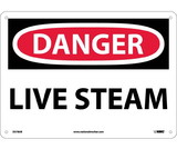 NMC D578 Danger Live Steam Sign