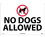 NMC 14" X 20" Plastic Safety Identification Sign, No Dogs Allowed, Price/each