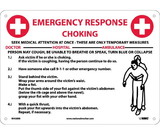 NMC M458 Emergency Response Choking Instructions Sign, Rigid Plastic, 10
