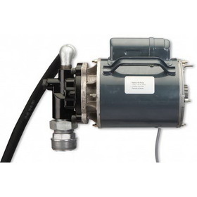ZeeLine ZE938G - 115-Volt Oil Pump (8 GPM)