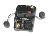 Wirthco 31202 Manual& Switchable 100Amp