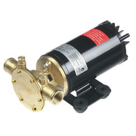 Johnson Pumps 10-24690-18 Rogue Ballast Pump 13.5 Gpm 12V