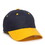 Navy/Gold