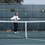 Oncourt Offcourt Airzone System