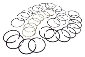 Omix-Ada 17430.21 Piston Ring Set (3.8L or 4.2L), .030 inch Over, 1972-1990 Models