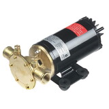 Johnson Pump 10-24690-18 Ballast Pump 13.5 Gpm